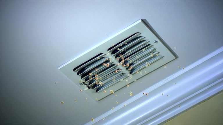 Best Dryer Vent Cleaning Services  in Tiltonsville, OH